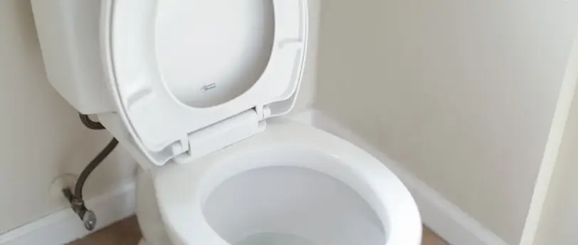 Toilet Leakage