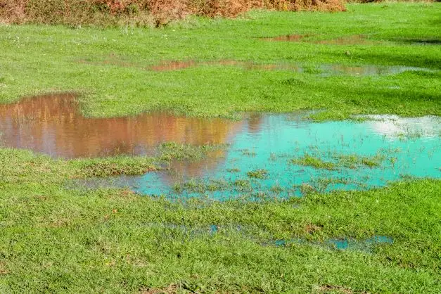 Irrigation Leak Detection