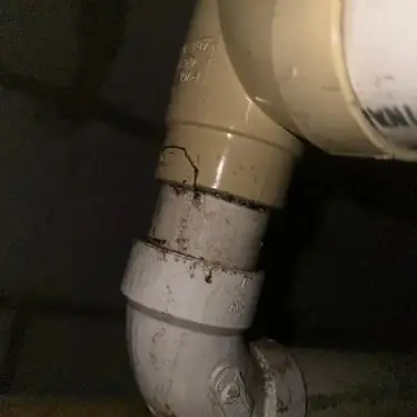 sewer line broken in wall found with Smoke Test