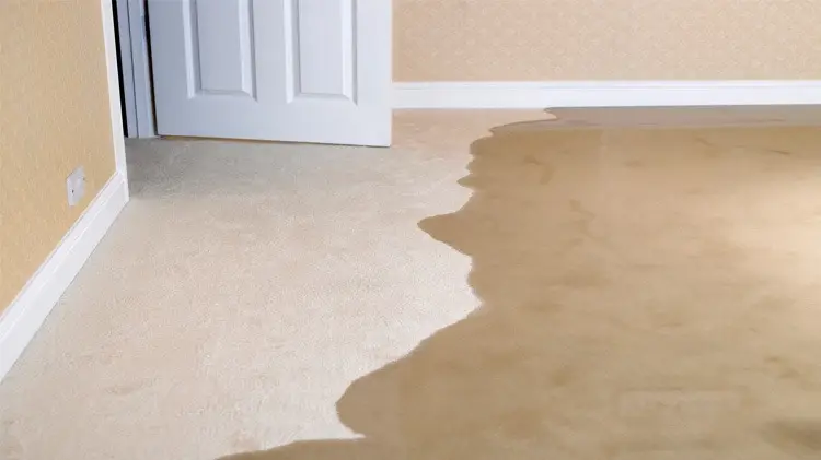Aurora Leak Detection